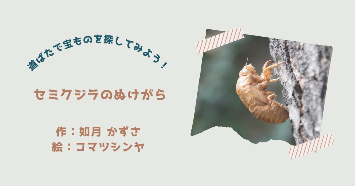 『セミクジラのぬけがら』紹介