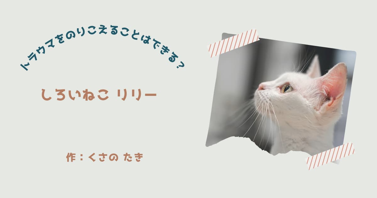 『しろいねこ　リリー』紹介