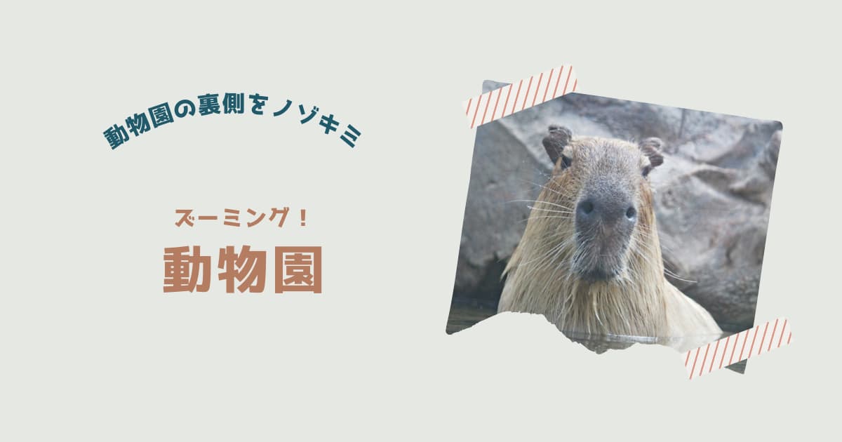 「ズーミング！動物園」紹介