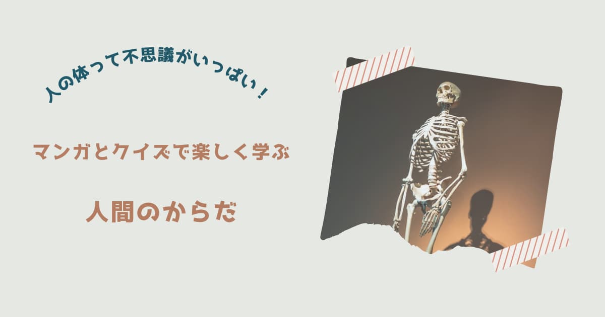 『人間のからだ』紹介
